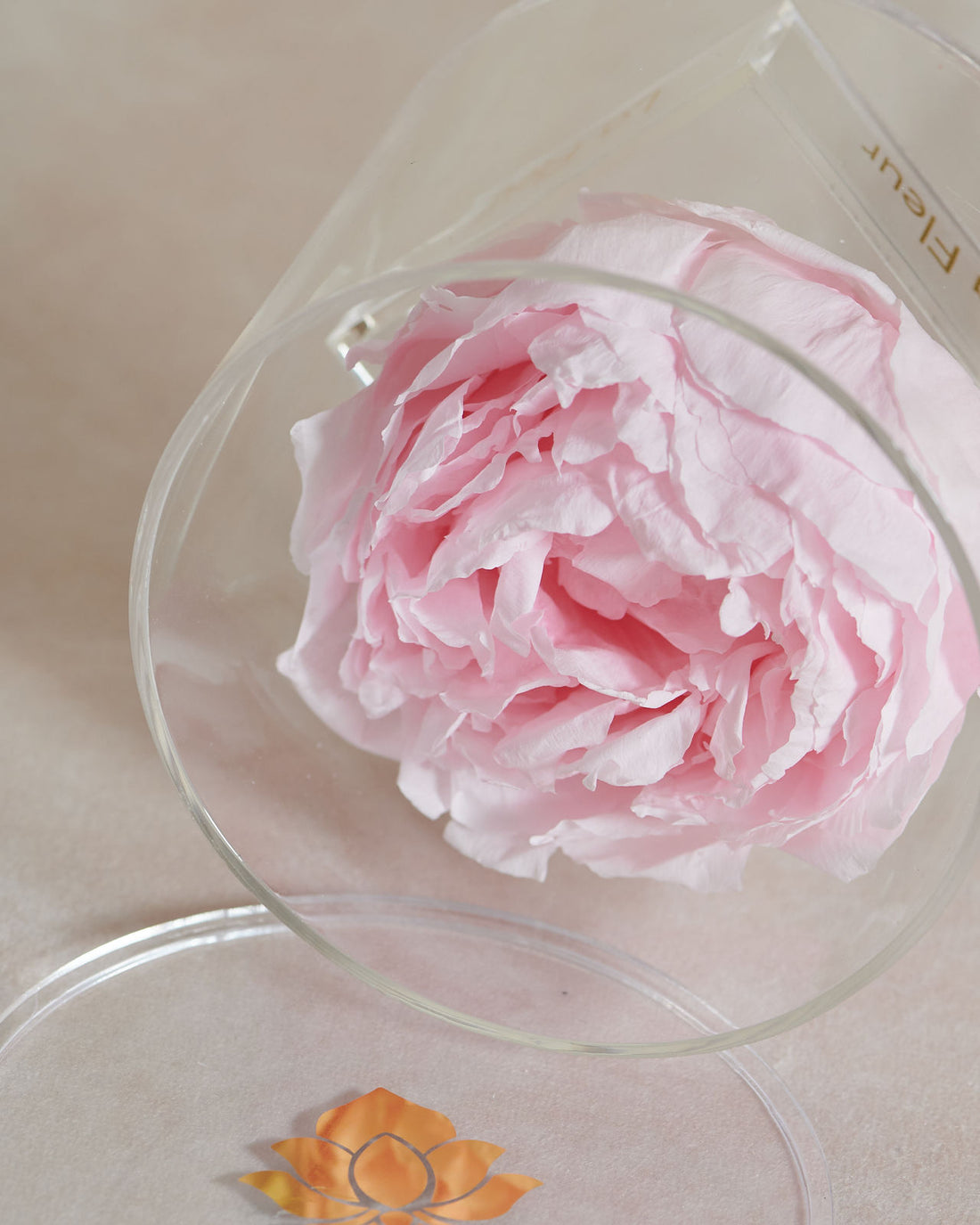 Peony Single by La Fleur Lifetime Flowers