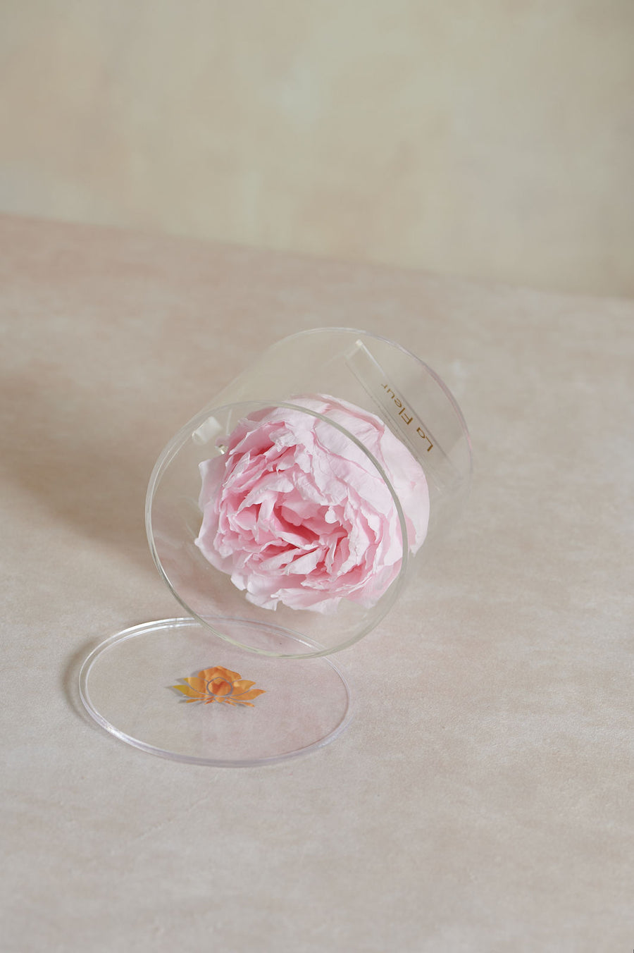 Peony Single by La Fleur Lifetime Flowers