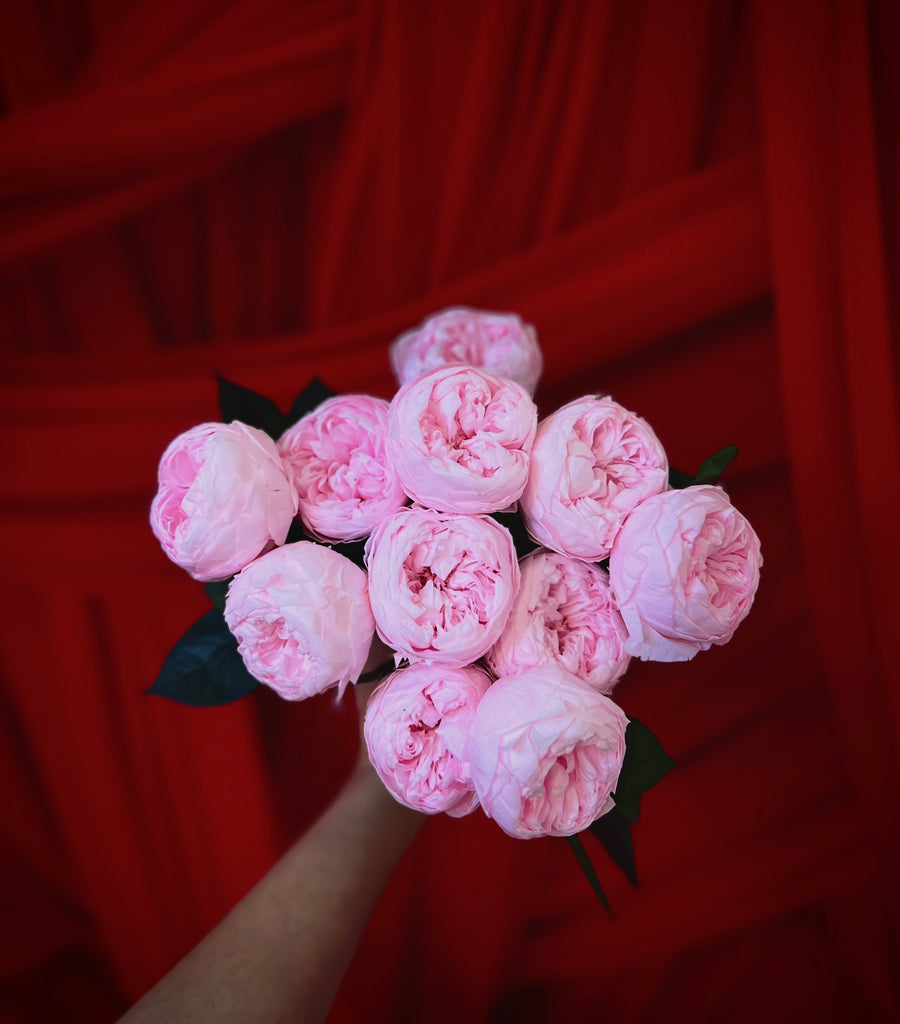 Creme Dozen Peony Rosette