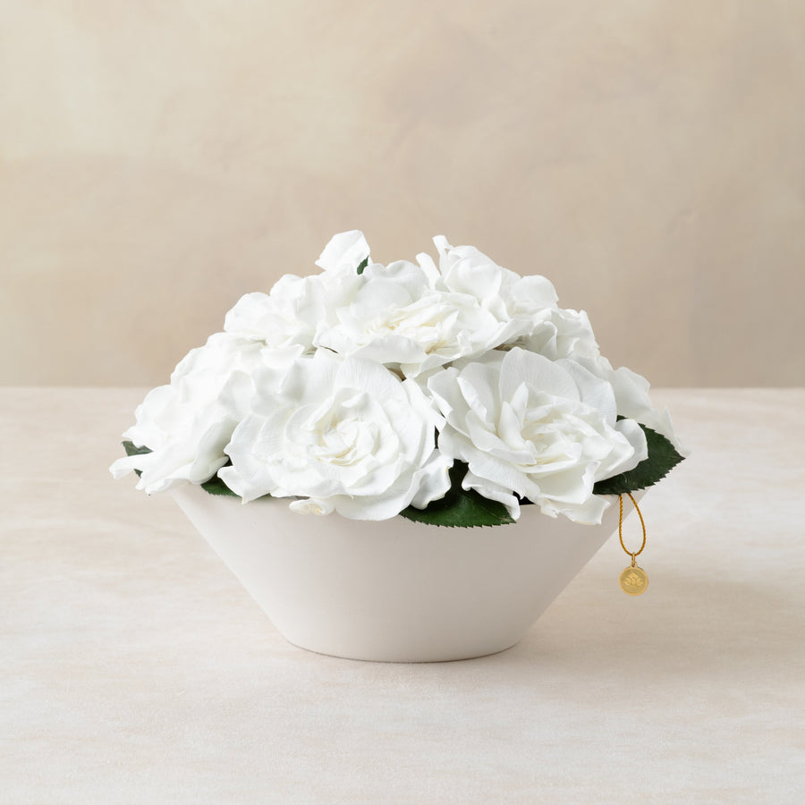 Gardenia Bowl by La Fleur Lifetime Flowers