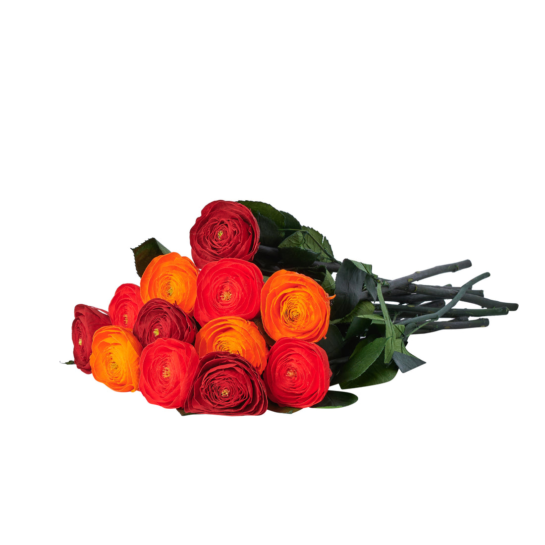 Dozen Long Stems Ranunculus