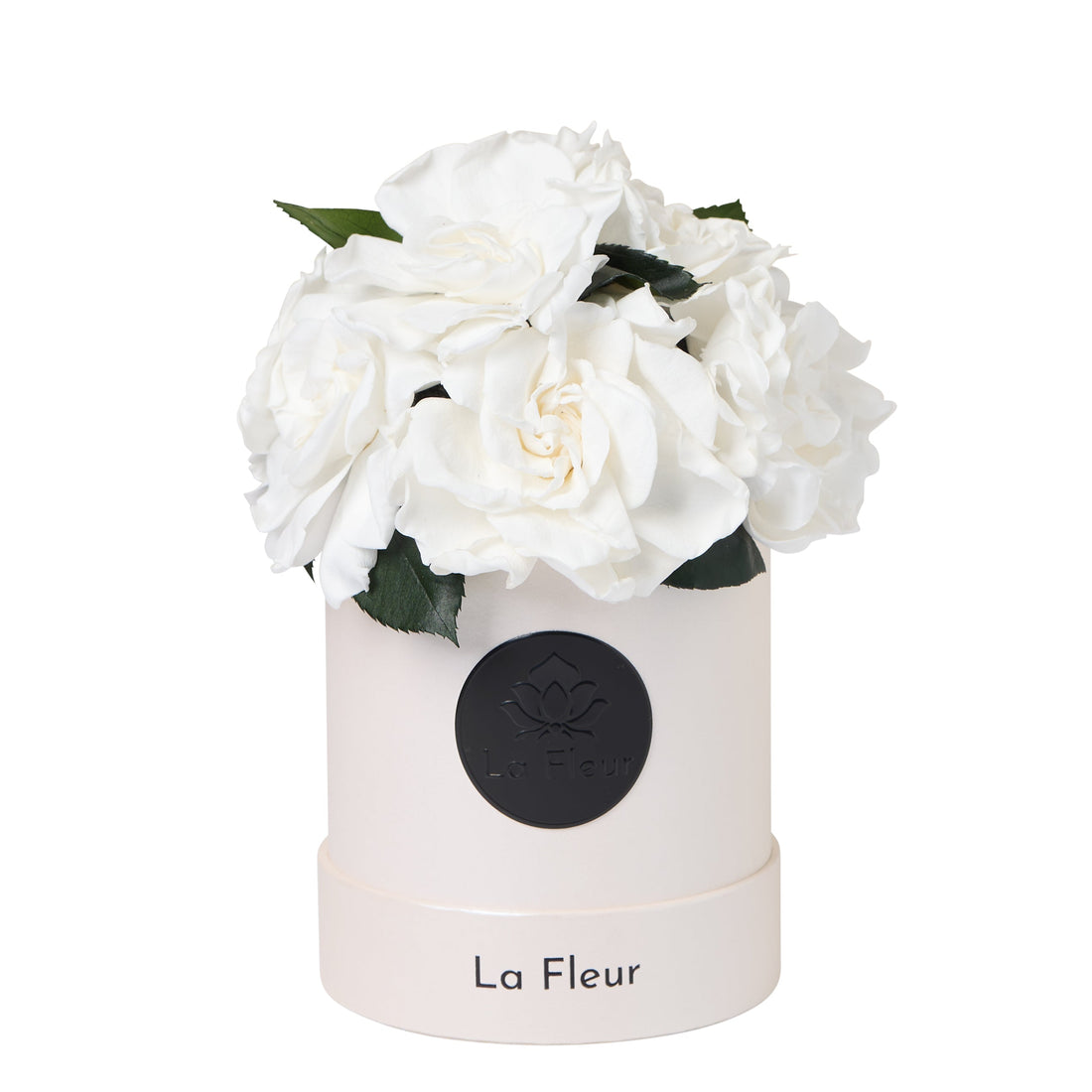 Gardenia Petite Dome