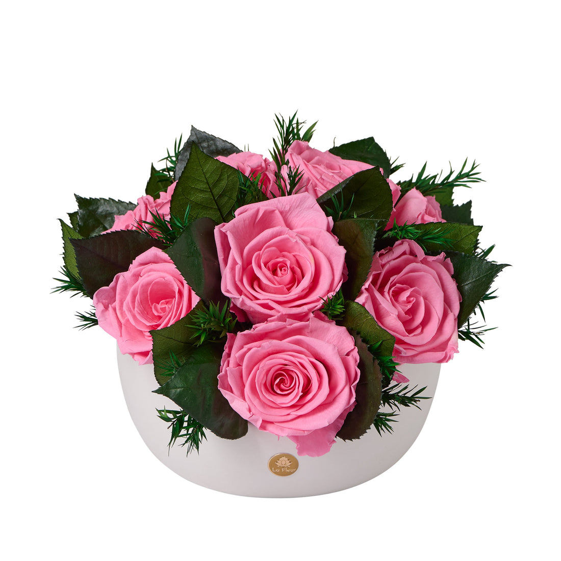 Jolie Grande - Rose