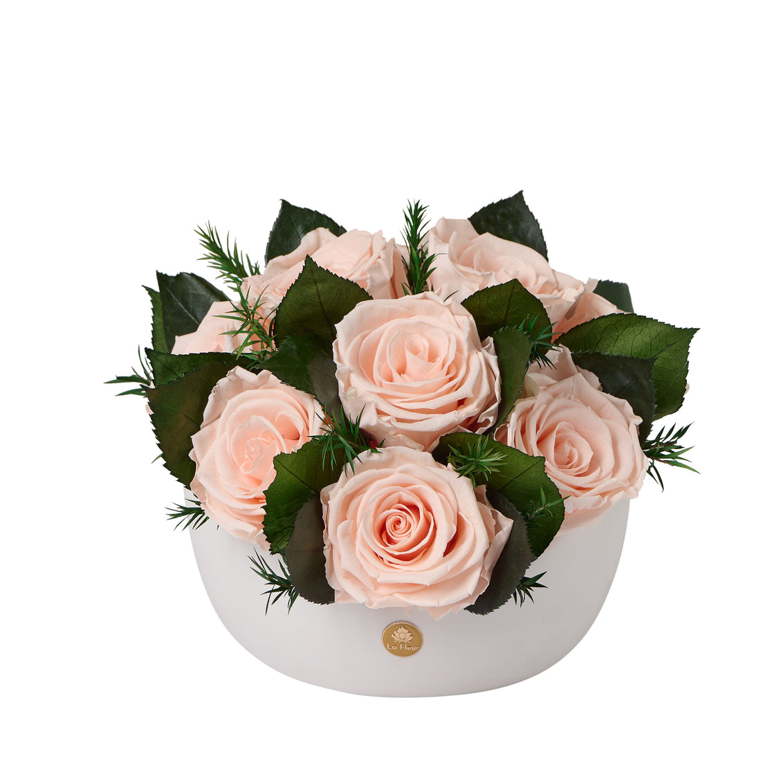 Jolie Grande - Rose