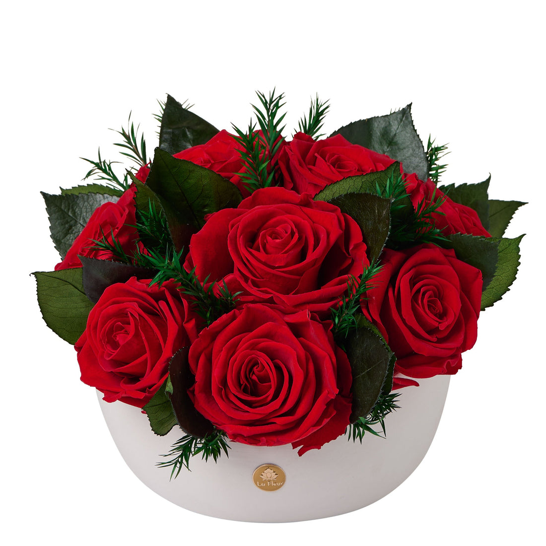 Jolie Grande - Rose