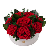 Jolie Grande - Rose