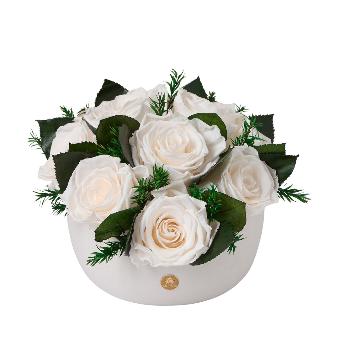 Jolie Grande - Rose
