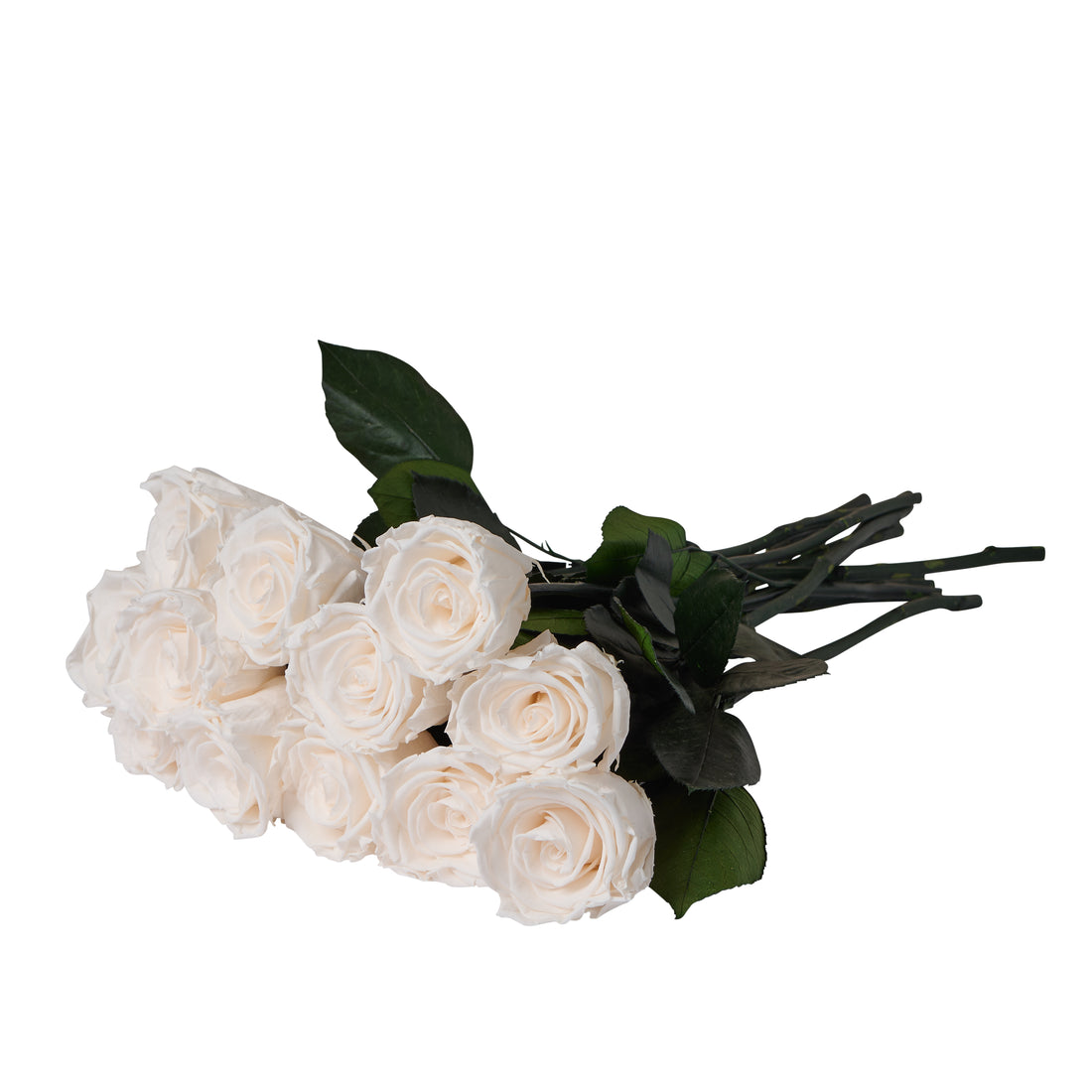 Dozen Long Stems Roses
