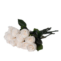 Dozen Long Stems Roses