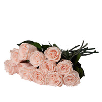 Dozen Long Stems Roses