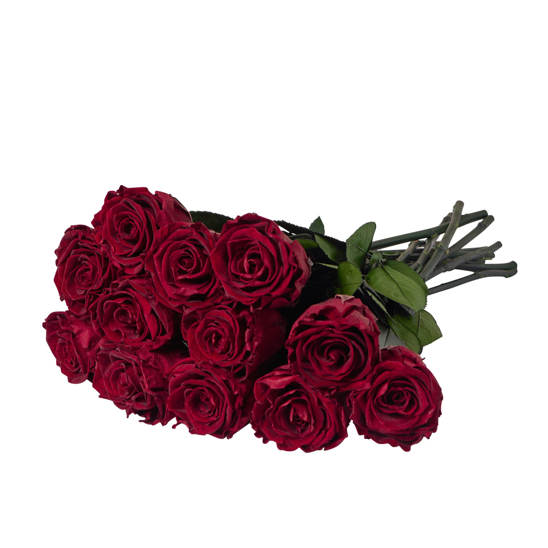 Dozen Long Stems Roses