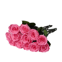Dozen Long Stems Roses