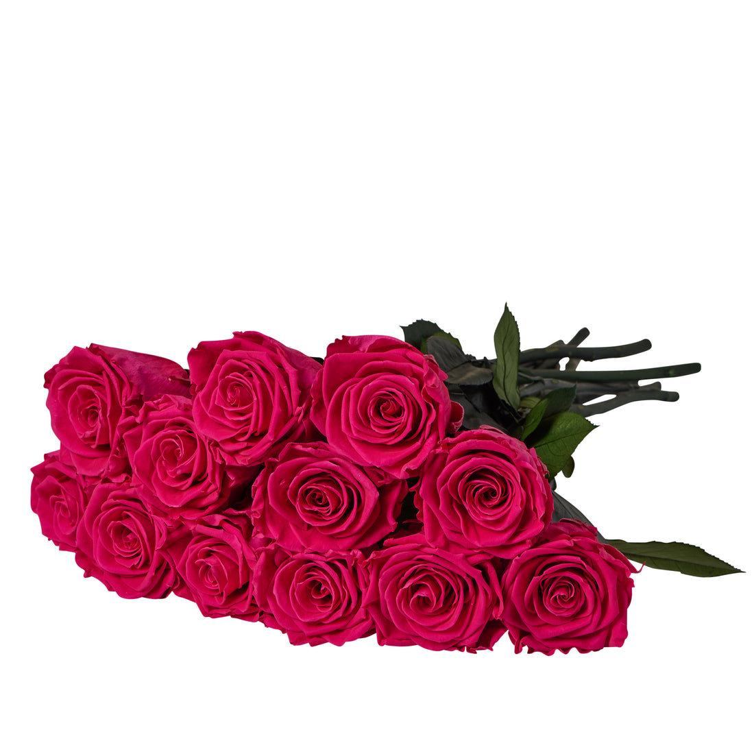 Dozen Long Stems Roses