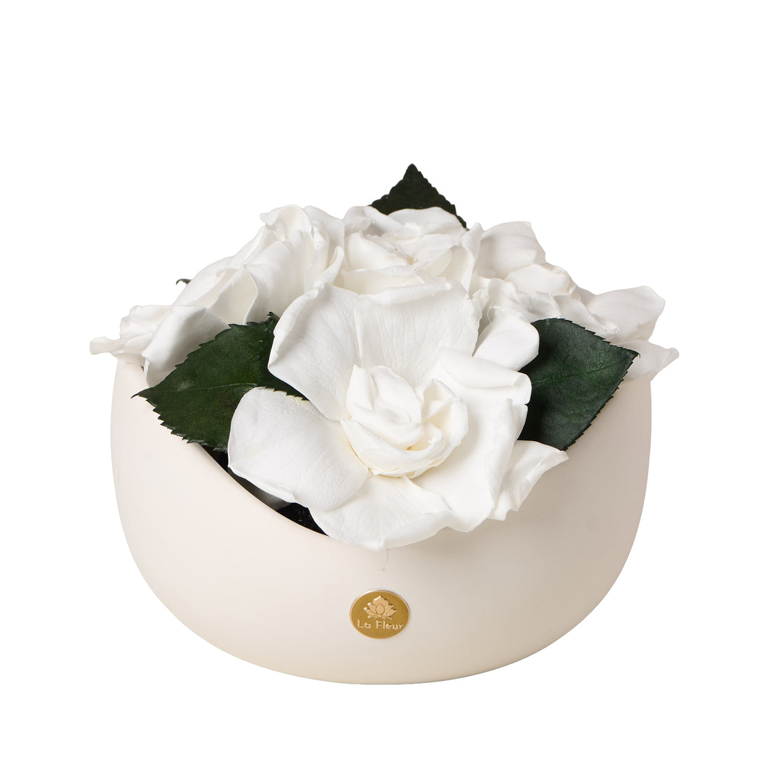 Jolie Petite - Gardenia