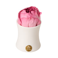 Creme Peony Rosette Mini