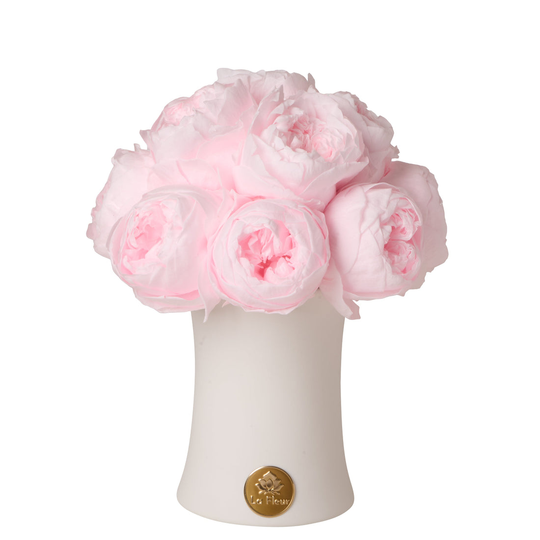 Creme Peony Rosette Dôme