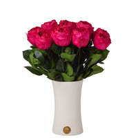 Creme Dozen Peony Rosette