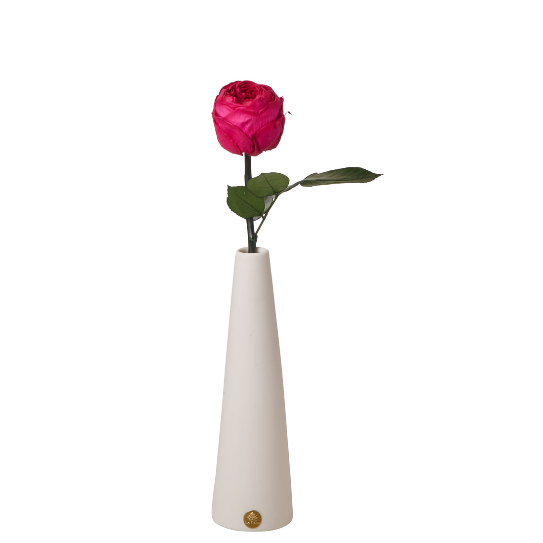 Peony Rosette Single Stem
