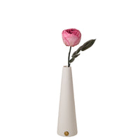 Peony Rosette Single Stem