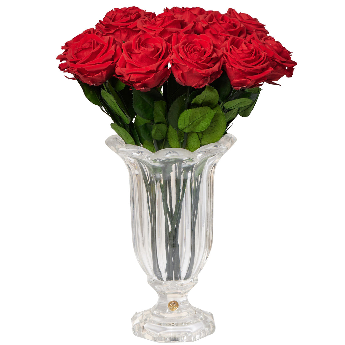 Amour Dozen
