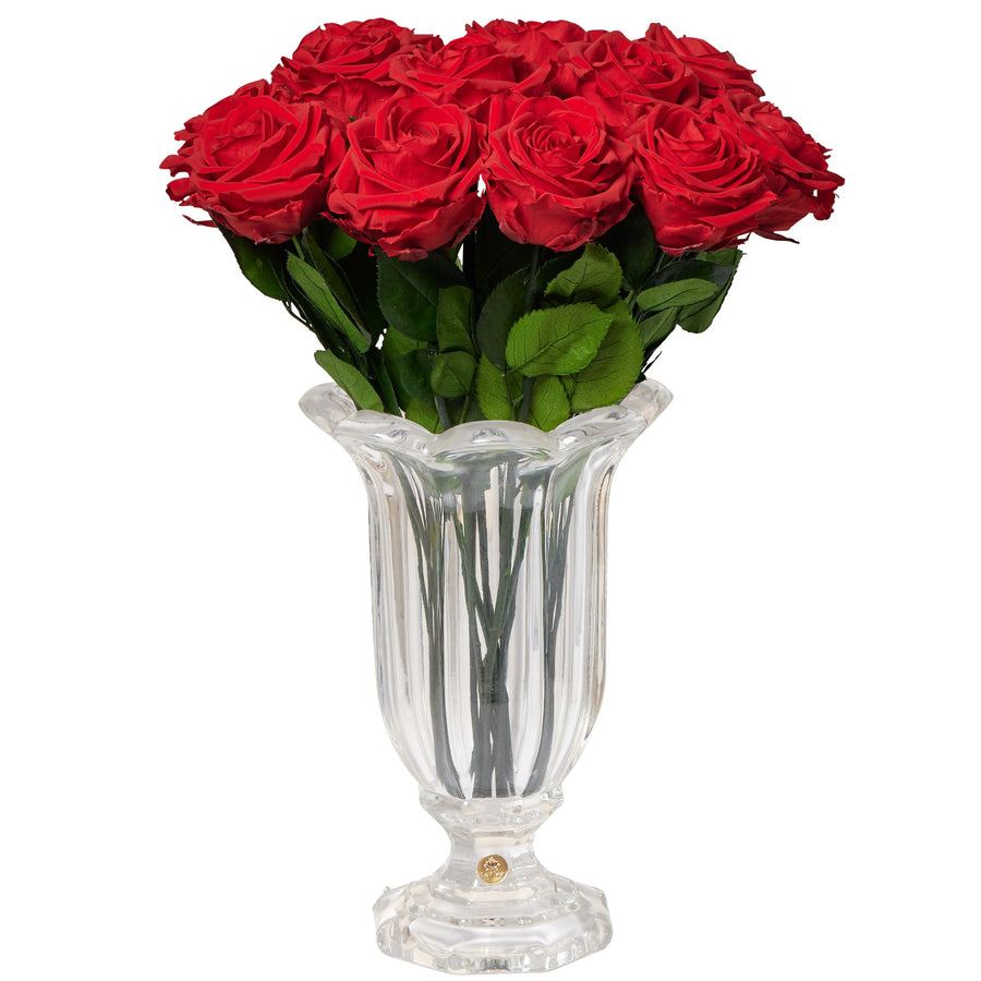 Amour Dozen