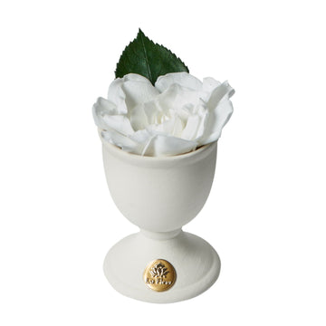 Creme Gardenia Mini by La Fleur Lifetime Flowers