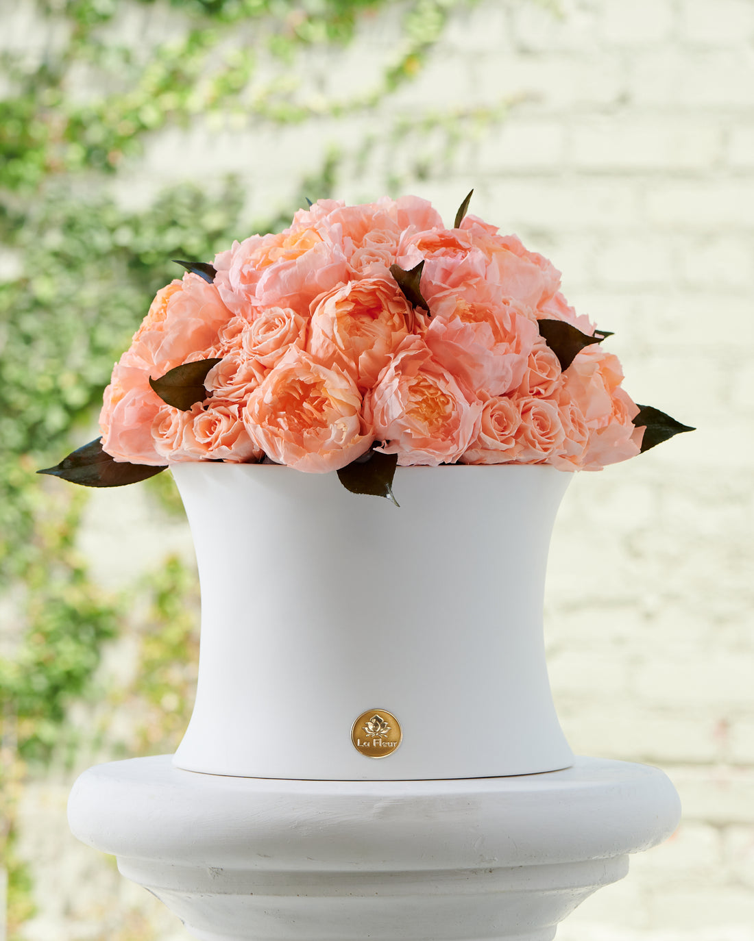 Grande Creme Peony + Rose Dôme