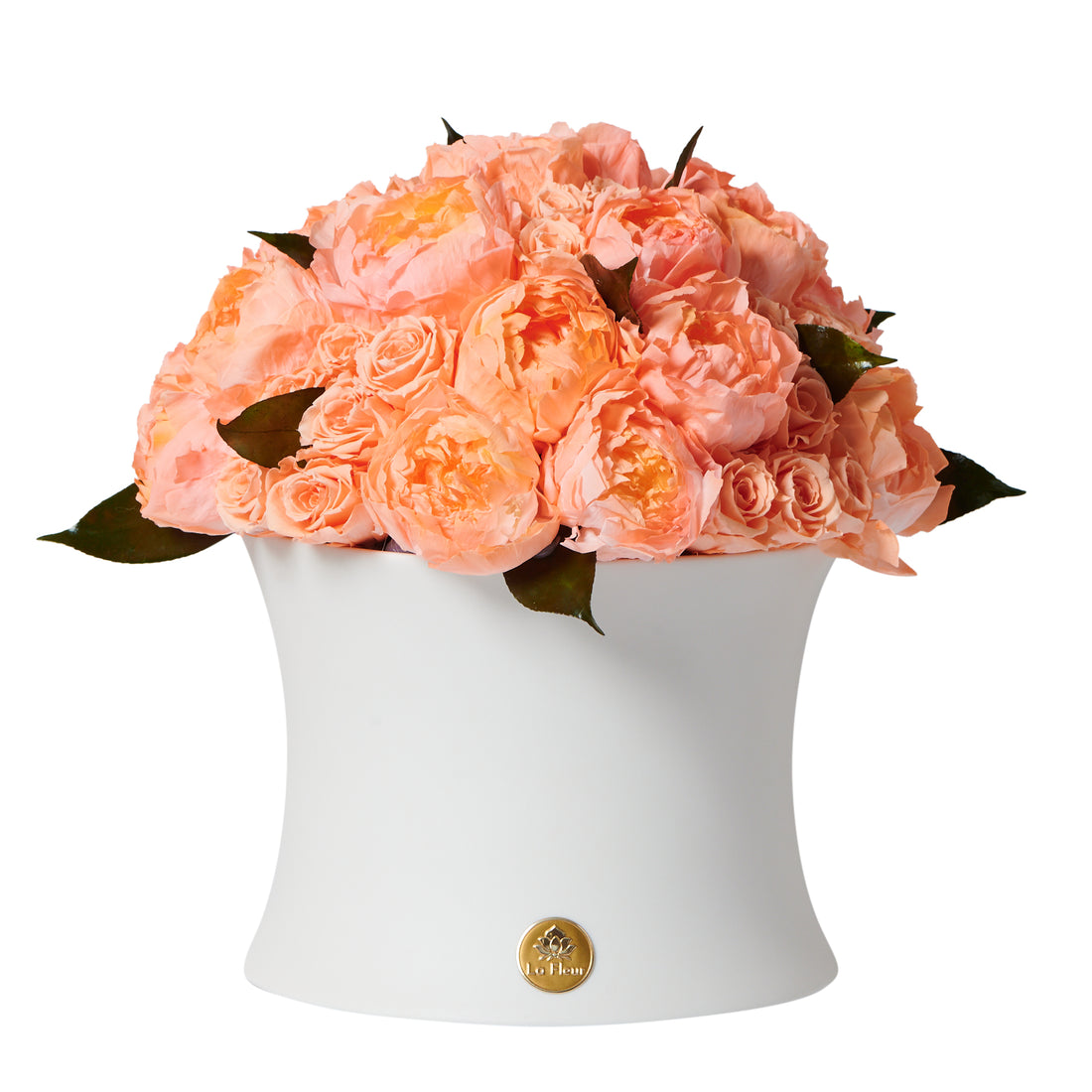 Grande Creme Peony + Rose Dôme