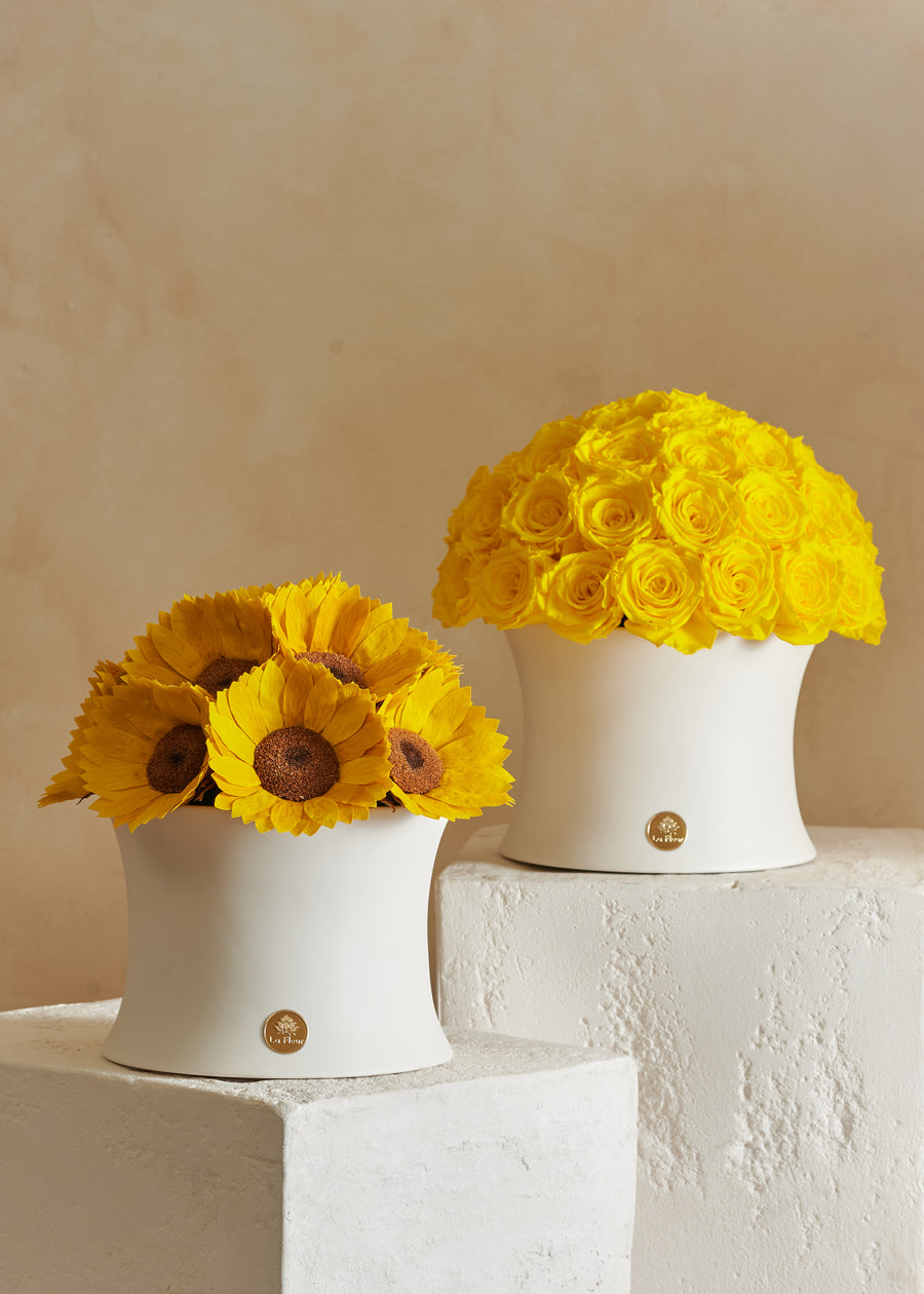 Grande Creme Sunflower