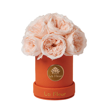 Mini Dôme - Garden Roses
