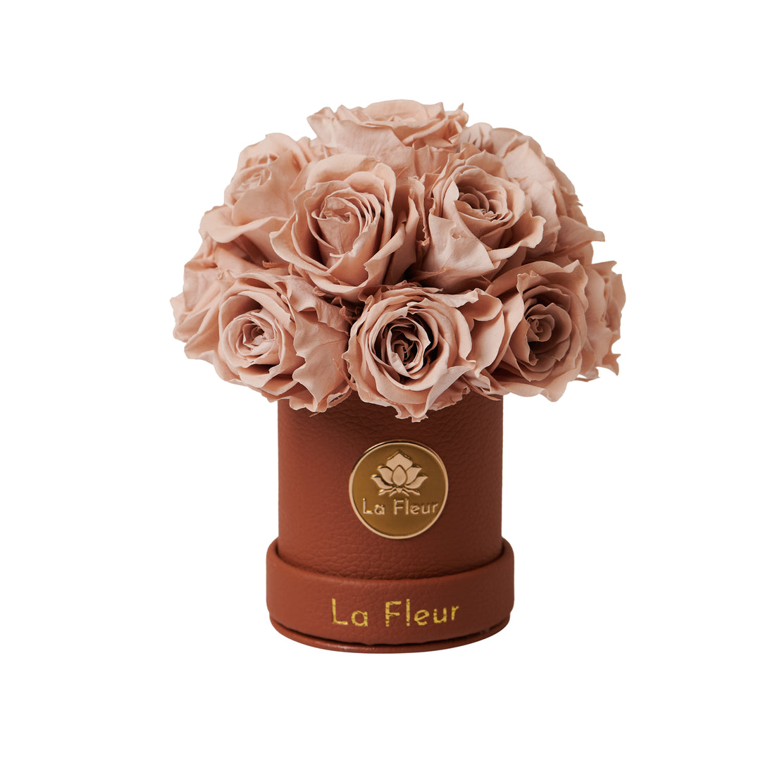 Mini Dôme - Roses