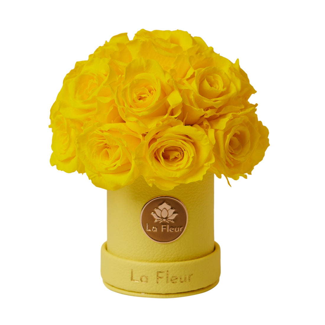 Mini Dôme - Roses
