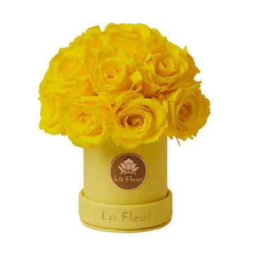 Mini Dôme - Roses