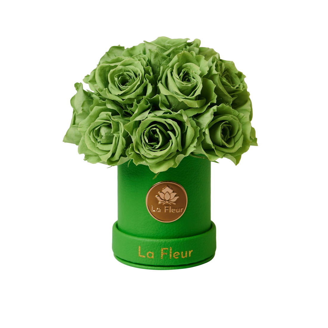 Mini Dôme - Roses