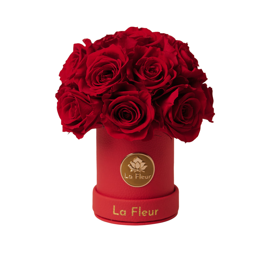 Mini Dôme - Roses