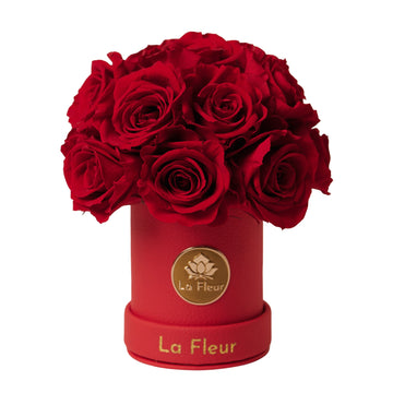 Mini Dôme - Roses