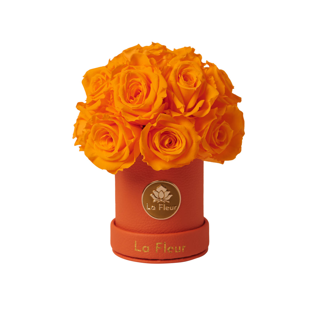 Mini Dôme - Roses