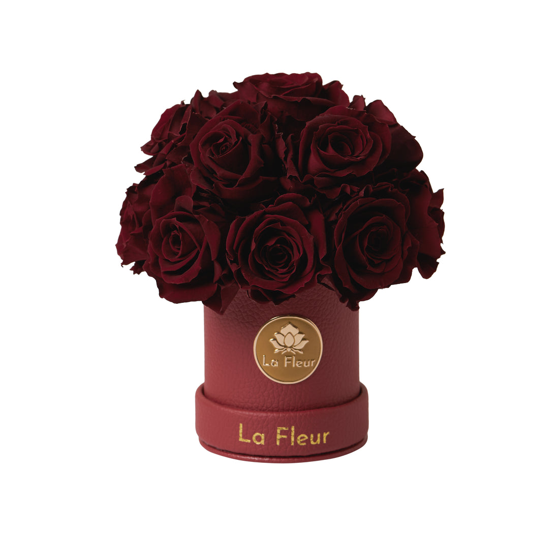 Mini Dôme - Roses