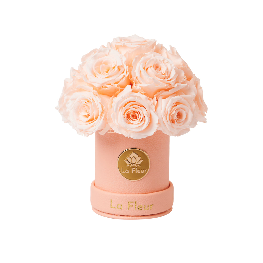 Mini Dôme - Roses