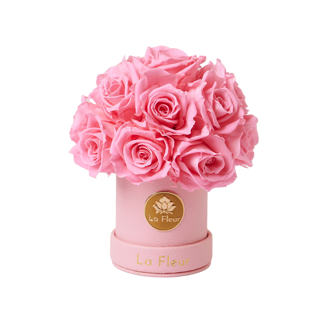 Mini Dôme - Roses