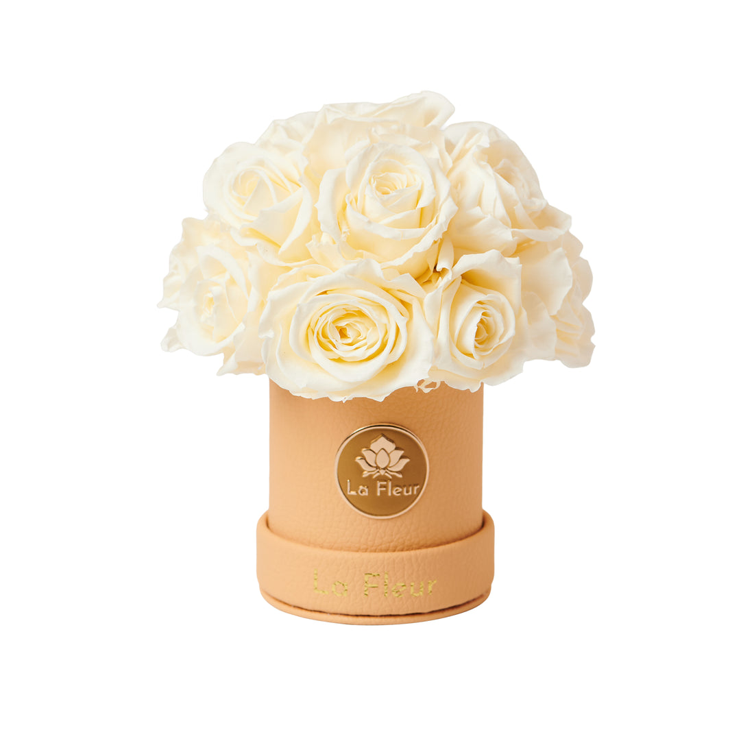 Mini Dôme - Roses