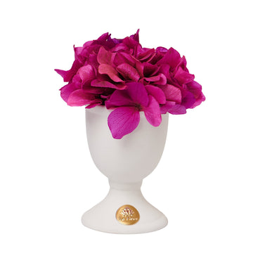 Creme Hydrangea Mini