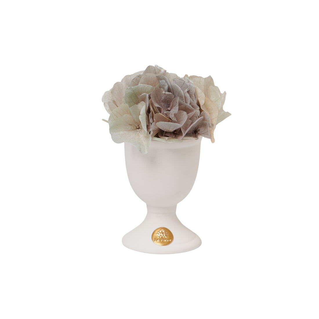 Creme Hydrangea Mini
