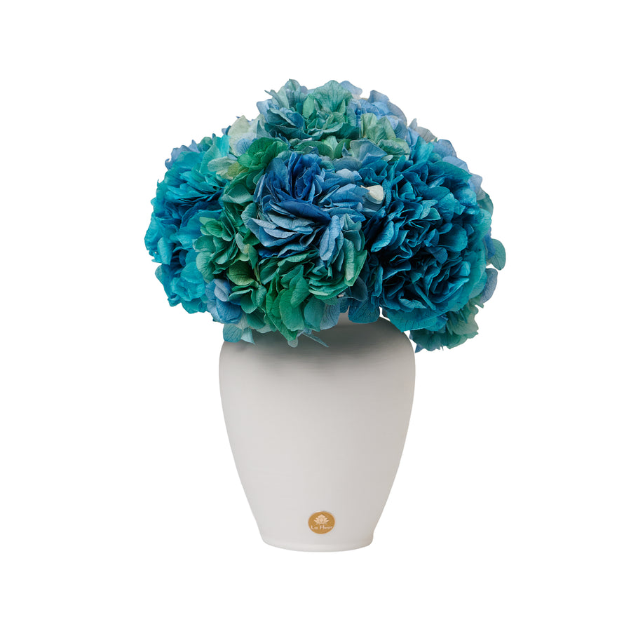 Petite Hydrangea