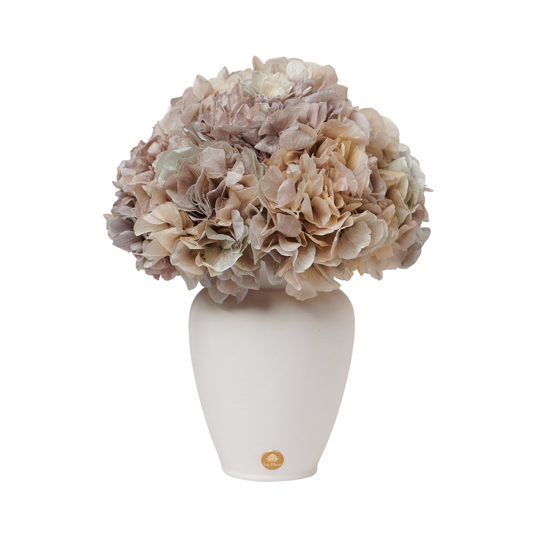 Petite Hydrangea