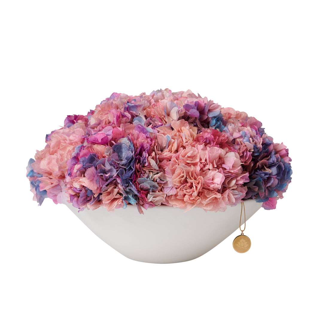 Grandiose Hydrangea