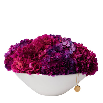 Grandiose Hydrangea