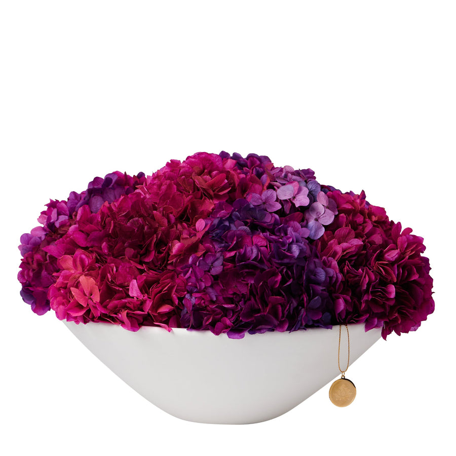 Grandiose Hydrangea