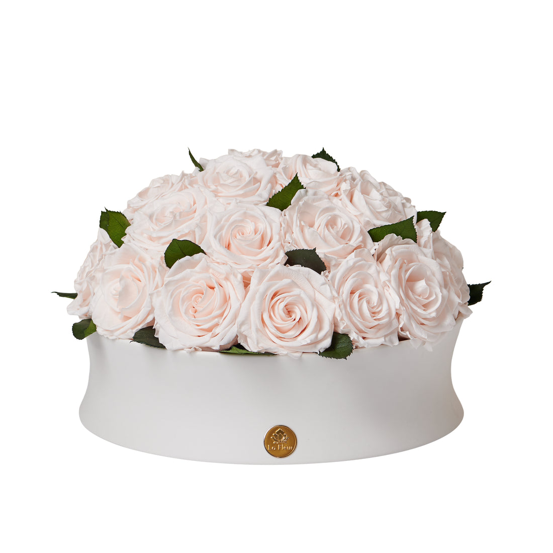 Majesté Roses