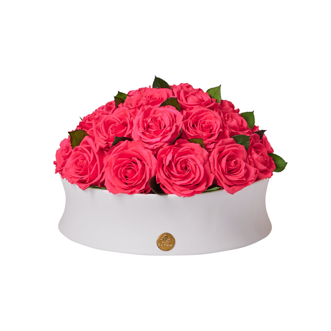 Majesté Roses